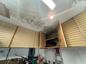 a1bc94a3-67c2-4e9c-a0f8-ec3f2d123714