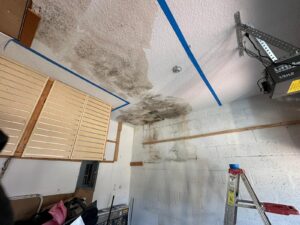 ae3460f7-3931-4f59-8db6-36d6c70c5461