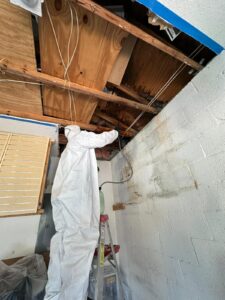 b95a4cdb-fa0d-48ae-a091-48f75a7dff32